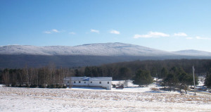 Mount Holly VT Homes for Sale