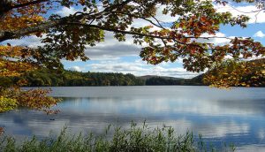 Plymouth VT Homes for Sale