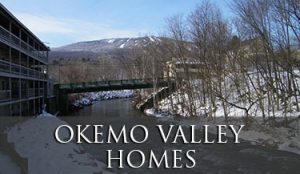 Okemo Valley Homes in Vermont