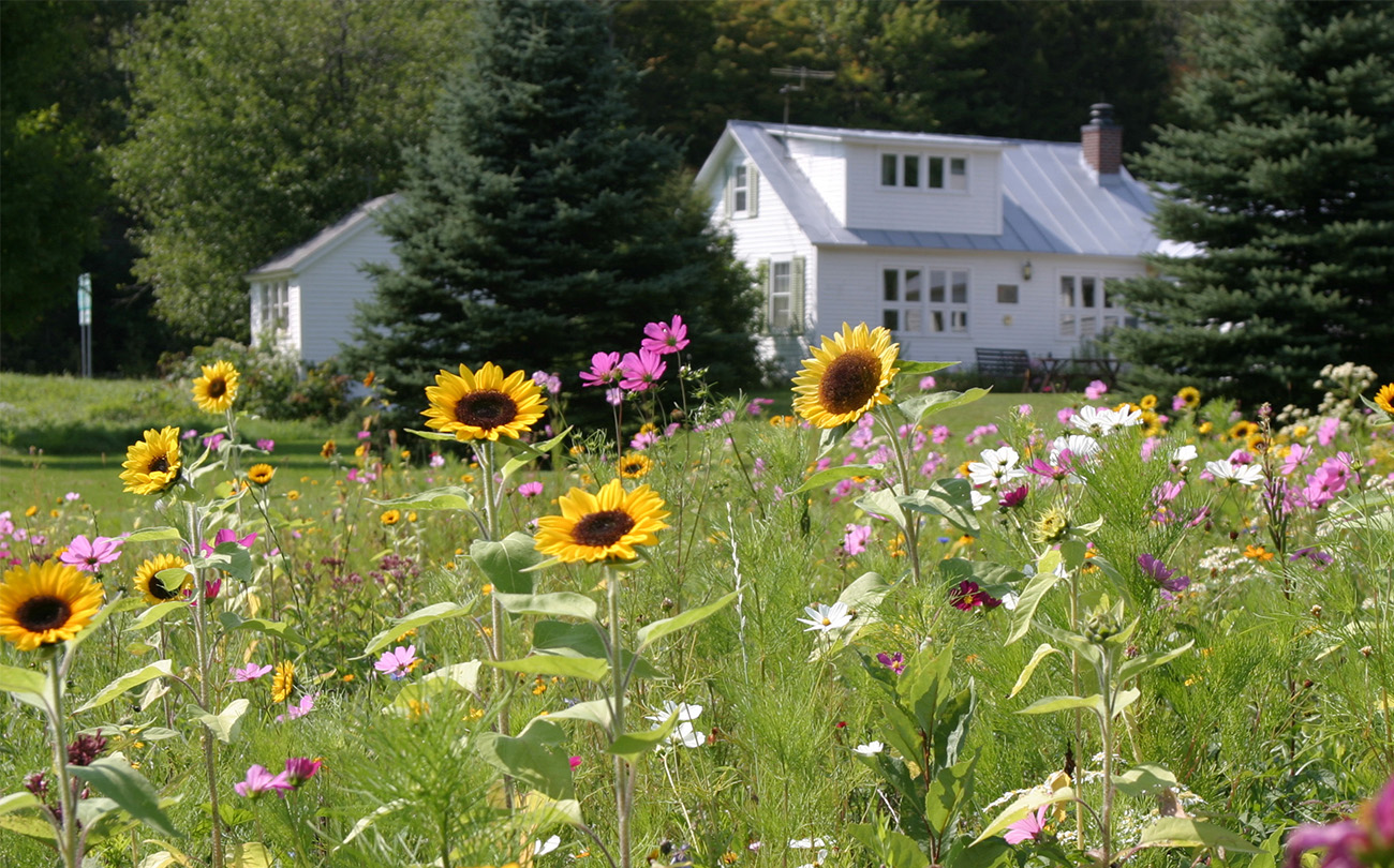The Backyard Benefits of a Moon Garden | Birds & Bloom